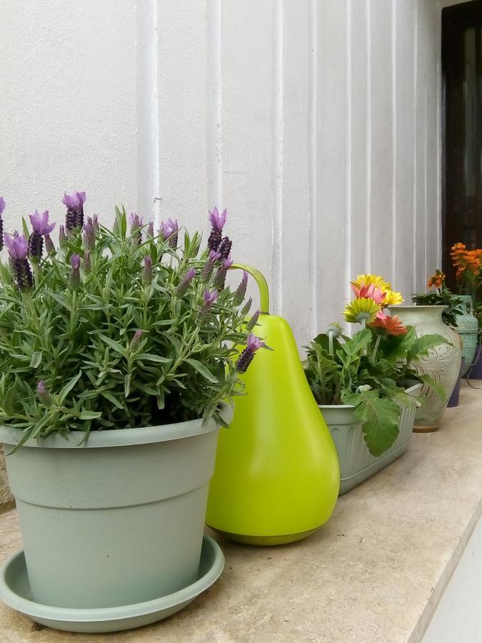 Aquarius Rome Bed & Breakfast Ngoại thất bức ảnh